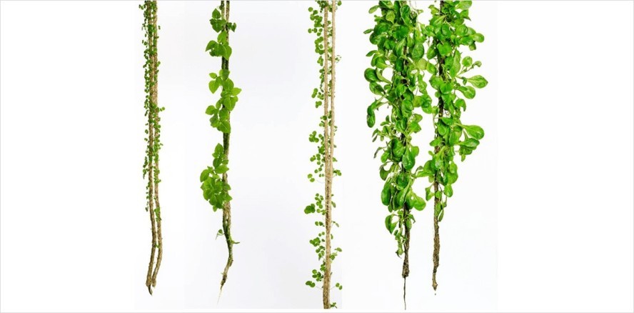 Garten mal anders – The Boho Project