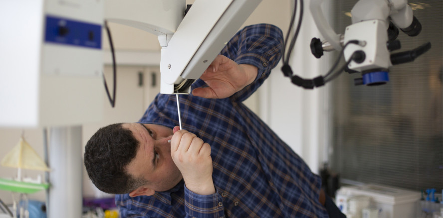 1.000 Servicetechniker mit 520.000 Einsätzen im Jahr