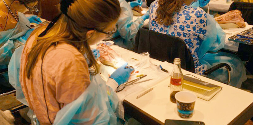 Dental Summer 2023: DAS Event für die junge Zahnmedizin