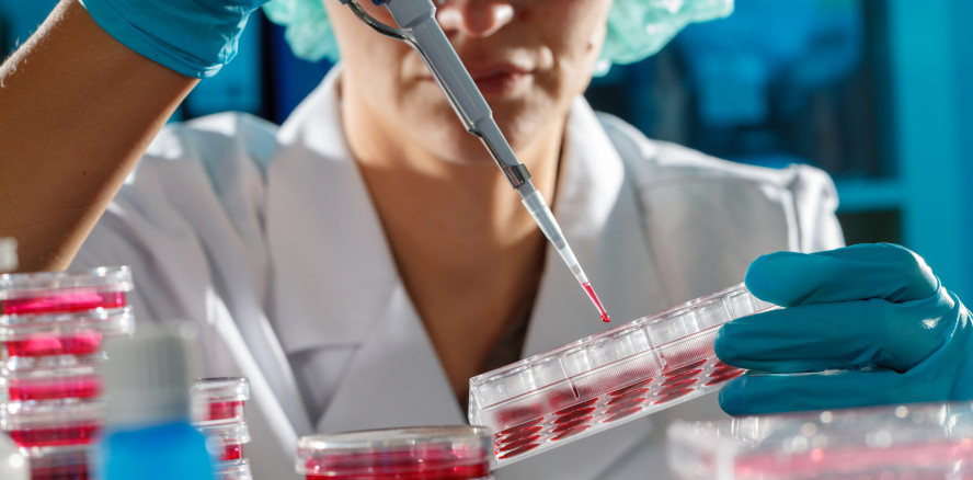 Regenerative Endodontie: Wie wirksam sind Stammzellen wirklich?