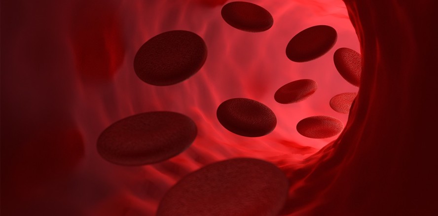 Endokarditis-Risiko: Aufklärung gefährdeter Patienten mangelhaft