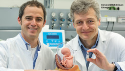Erste erfolgreiche Therapieversuche bei Ektodermaler Dysplasie