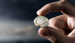 Studie: Fluorid nagt an menschlicher Intelligenz