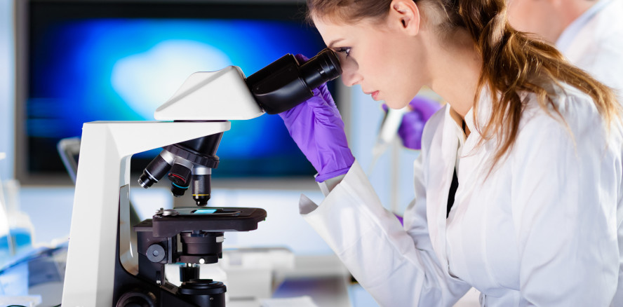 Zahnimplantate: Forscher entwickeln stabilere Keramiken