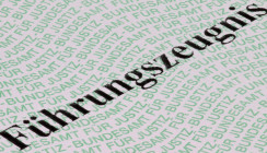 Das Führungszeugnis bitte - Was im Dokument aufgelistet ist