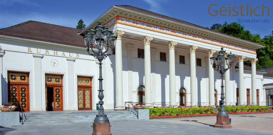 Geistlich Konferenz 2020: Reparatur-Chirurgie