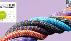 Gesunde High Performance®: Gesunde Teams als härteste Währung