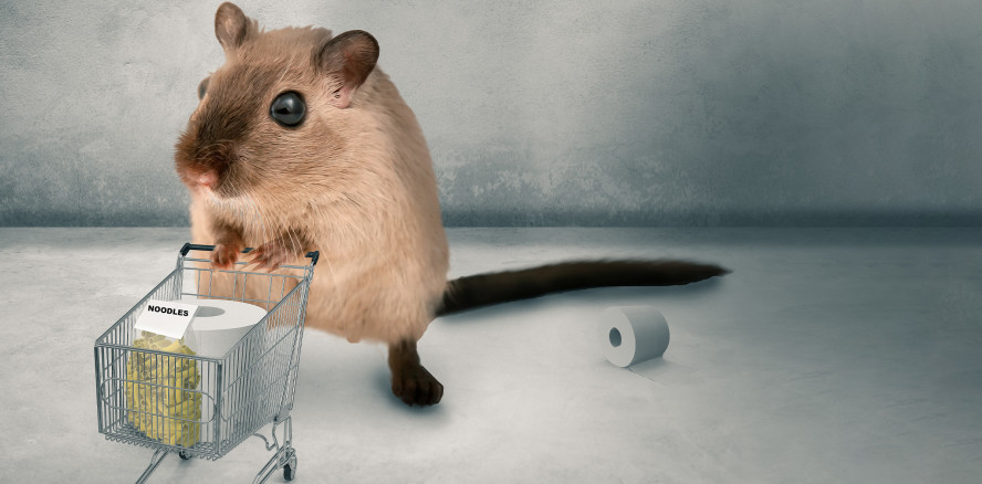 Panik oder Vernunft: Wie bewältigt man die Corona-Krise?