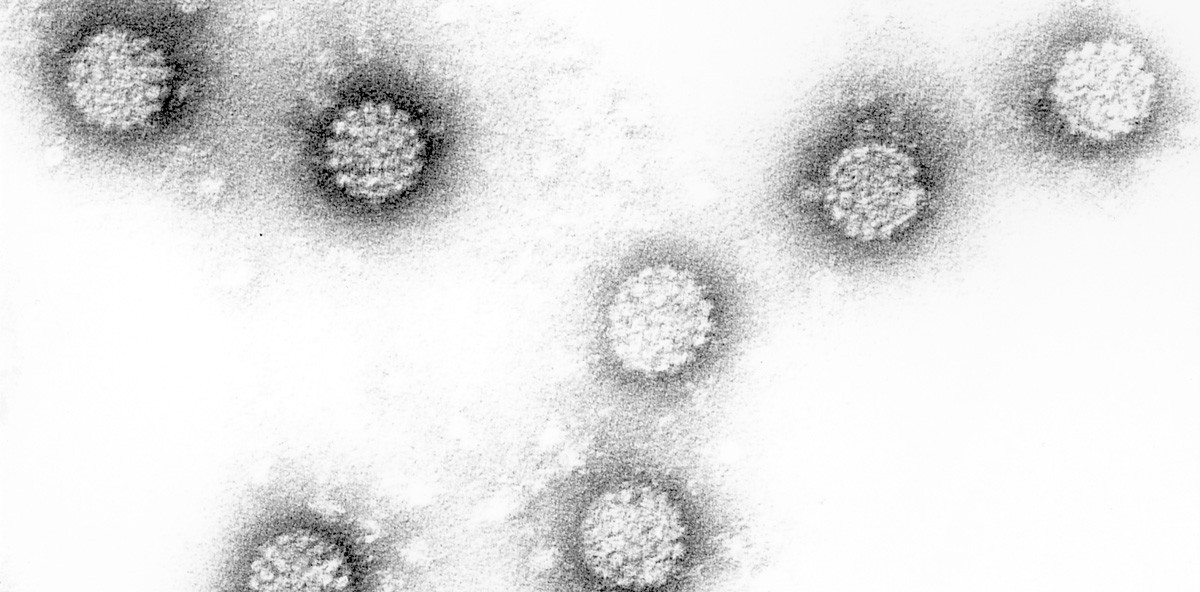 Krebs im Rachenraum: Neuer Bluttest bestimmt Risiko im Vorfeld