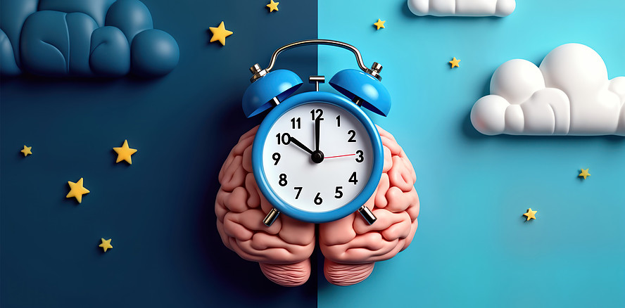 Die innere Uhr lässt sich an einer Haarprobe ablesen