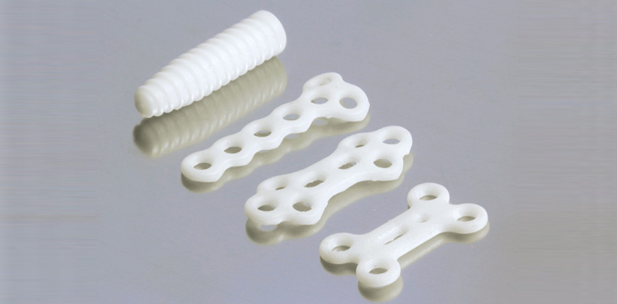 Aktueller Forschungsstand: Der Mensch als Bioreaktor