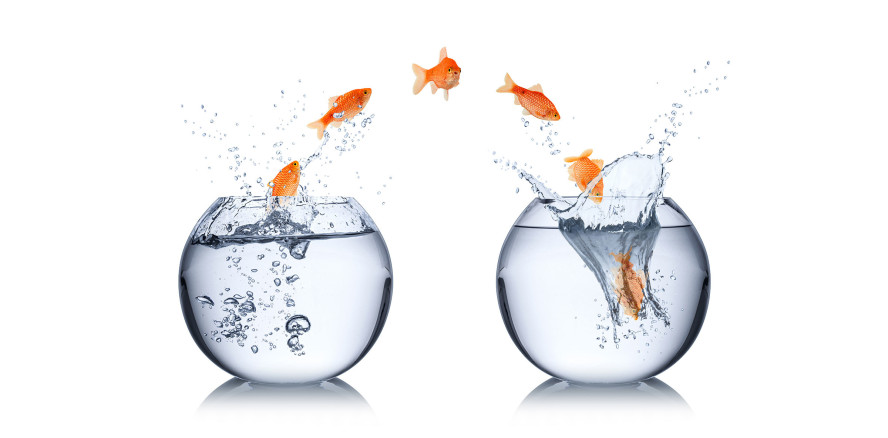 Reue nach dem Jobwechsel - was jetzt?