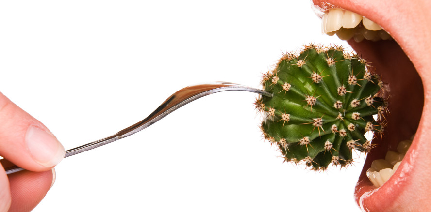 Kaktus Challenge: Stachelige Mutprobe für Lippen, Zunge und Zähne