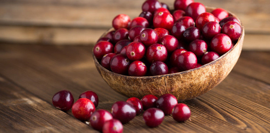 Polyphenole aus Cranberrys bald in Mundpflegeprodukten?