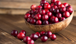 Polyphenole aus Cranberrys bald in Mundpflegeprodukten?