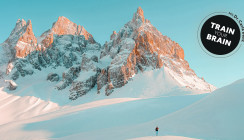 TRAIN your BRAIN: In kleinen Schritten zum Gipfel