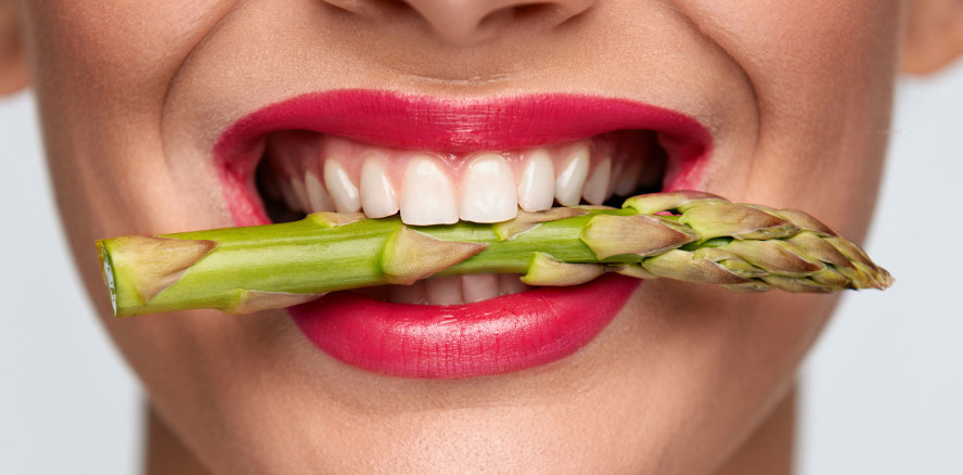 Künstlicher Mund ahmt menschliche Nahrungsverarbeitung nach