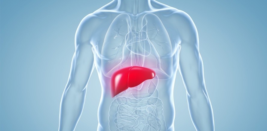 Parodontitis führt zu erhöhter Mortalität bei Leberzirrhose