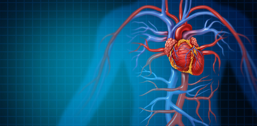Leitlinie „Zahnärztlich-chirurgische Sanierung vor Herzklappenersatz“