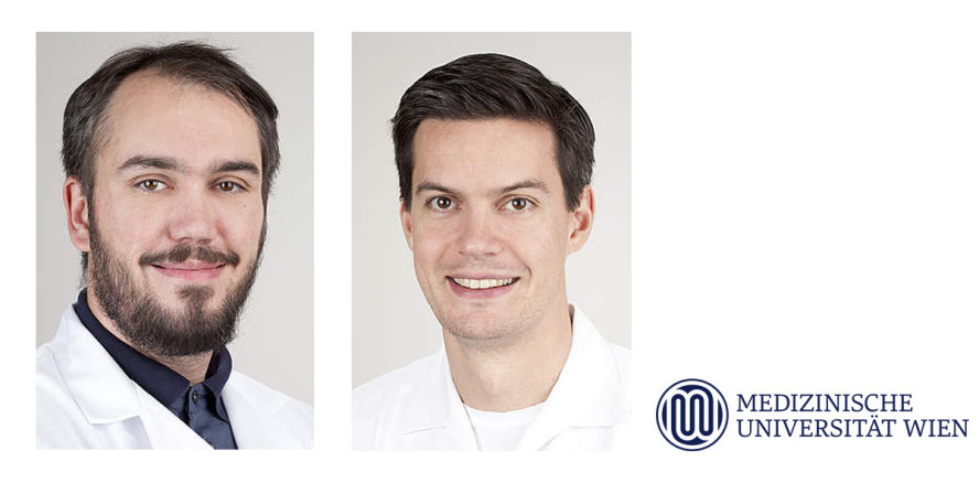 Forscher der Universitätszahnklinik Wien ausgezeichnet