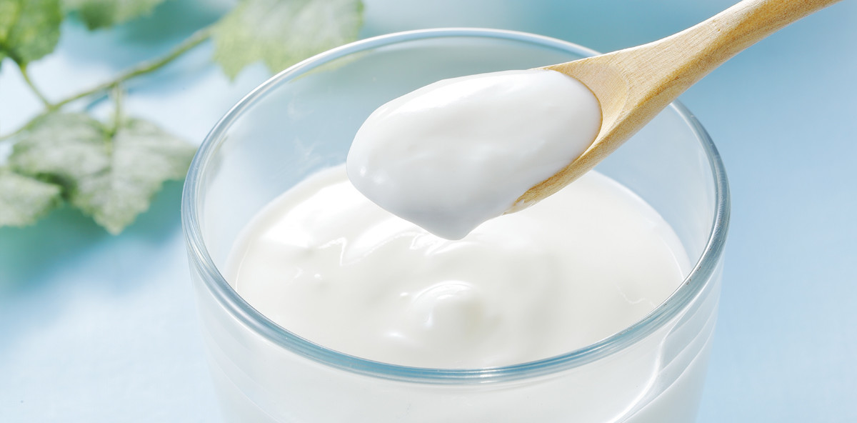 Biofilm: Milchsäurebakterien zeigen Wirkung