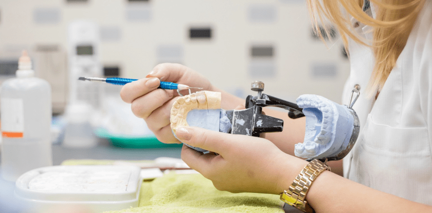 Neuer NC-freier Studiengang Zahnmedizin an der HMU Erfurt