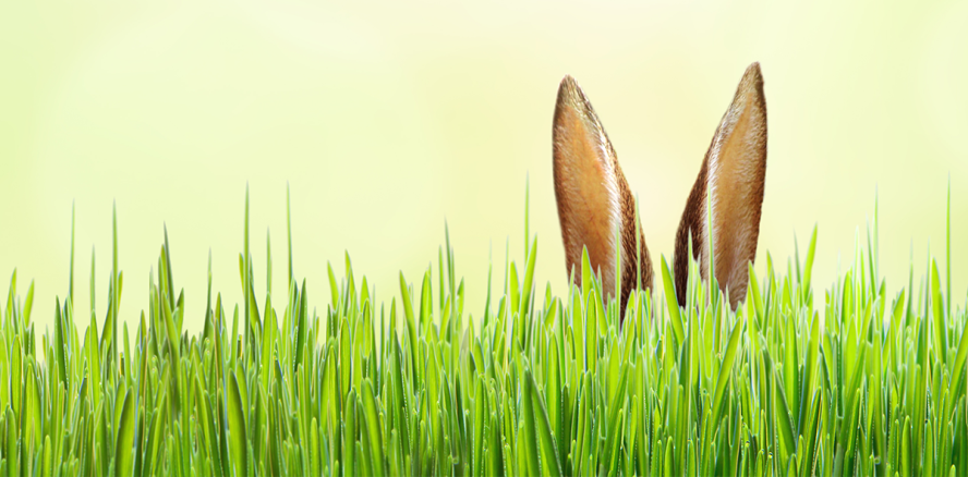 Was hat der Mond mit Ostern zu tun?