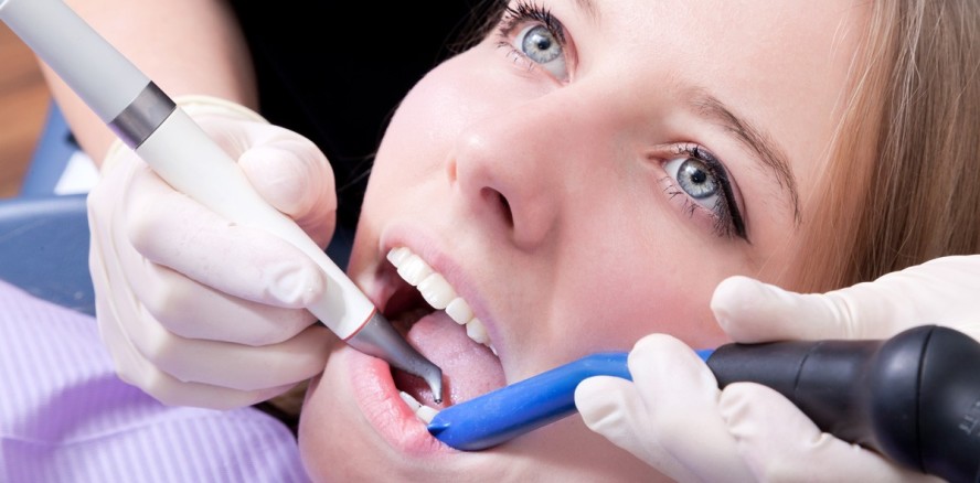 Die Paro-Therapie ist im Kommen