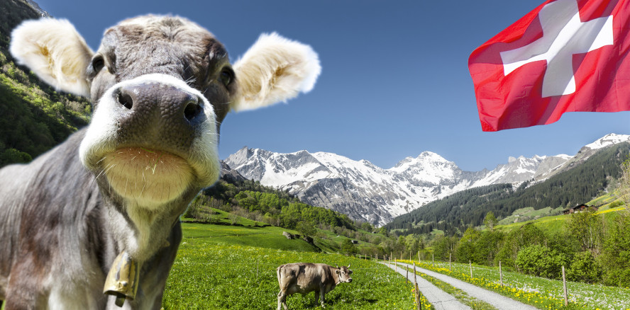 Die Schweiz: Beste Lebensqualität für Zahnärzte und ZFAs