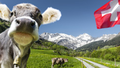 Die Schweiz: Beste Lebensqualität für Zahnärzte und ZFAs