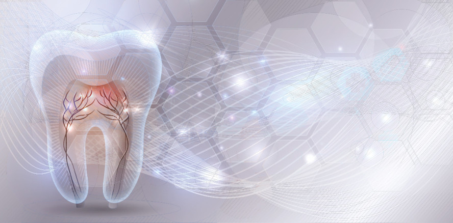 Gewebe mit Hilfe von Stammzellen regenerieren