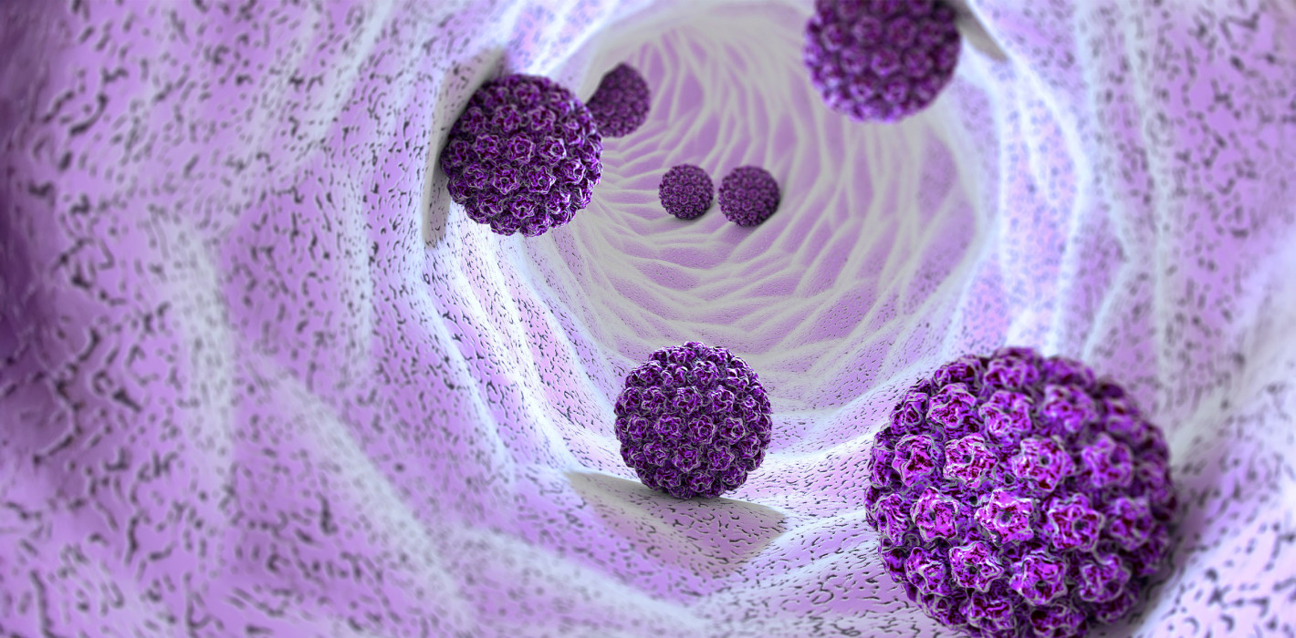 Studie untersucht Risikofaktoren für neue HPV-Infektionen bei Männern