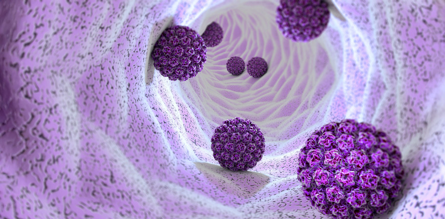 Studie untersucht Risikofaktoren für neue HPV-Infektionen bei Männern