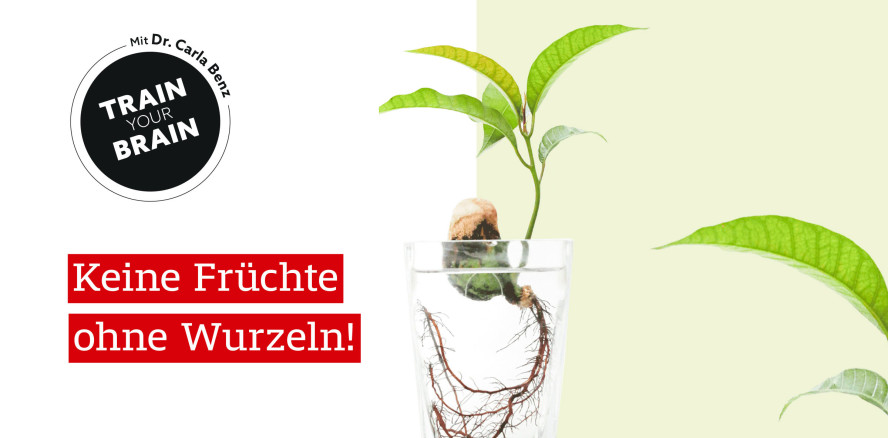 TRAIN your BRAIN: Akzeptieren Sie, dass es nicht immer „nach oben“ geht!