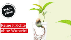 TRAIN your BRAIN: Akzeptieren Sie, dass es nicht immer „nach oben“ geht!