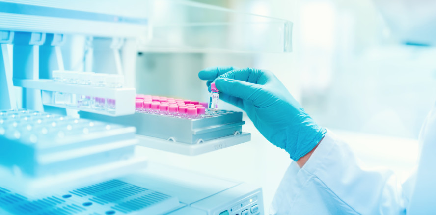 Zahnpastawirkstoff: Triclosan wirksam gegen Malaria