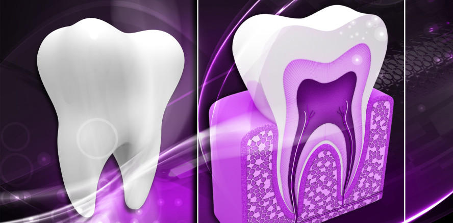 Könnten sich Zähne schon bald selbst regenerieren?