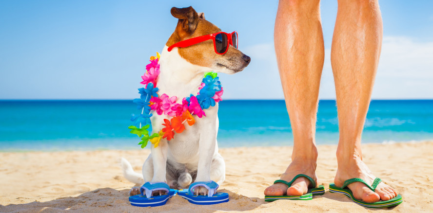 Mit Schlappen am Strand – ein typischer Urlaub der Mediziner?