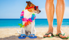 Mit Schlappen am Strand – ein typischer Urlaub der Mediziner?