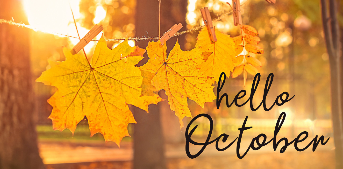 Überweisungen, Einreise, Zeit – was sich im Oktober ändert