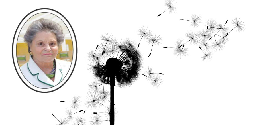 Ein großer Verlust: W&H nimmt Abschied von Hilde Malata