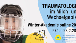 Winter-Akademie 2021 des ZFZ Stuttgart online