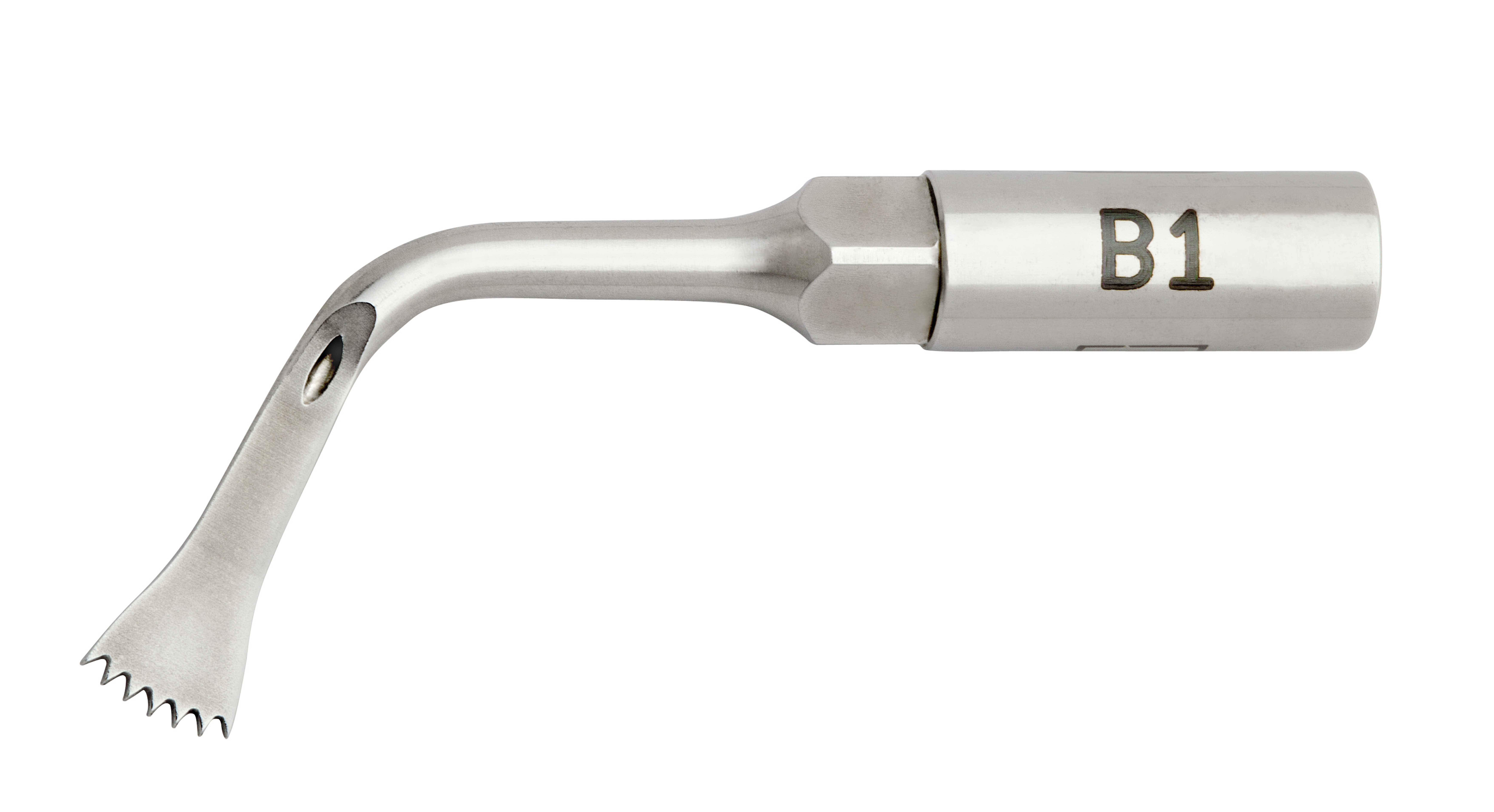 B1