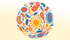 Pre- und Postbiotikum OraLactin