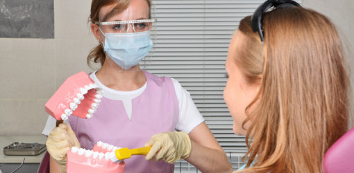 Der Weg zu „ZMP“ und „DH“