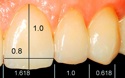 Die goldene Proportion