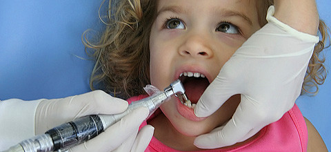 Curriculum Kinderzahnheilkunde in Sachsen-Anhalt geplant