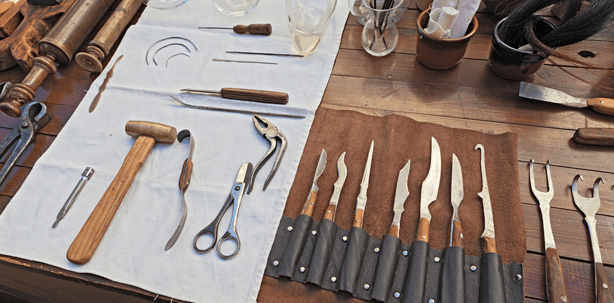 Vom Zahnreisser zum Zahnarzt