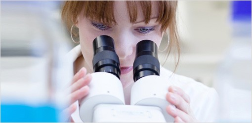 Forscher finden Signalweg, der Knochen wachsen lässt