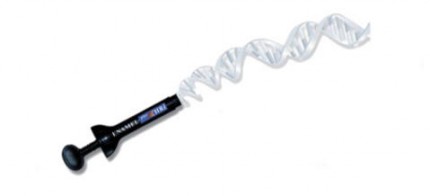productTeaserImage